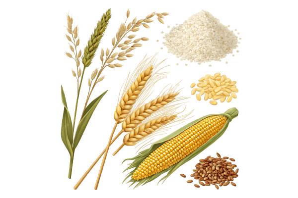 Cereals