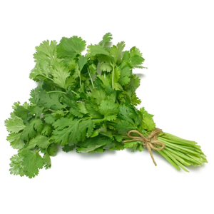 Coriander