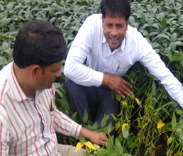 Natural Bio-technology and Microbiology