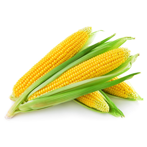 Maize