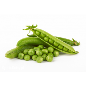 Garden Pea