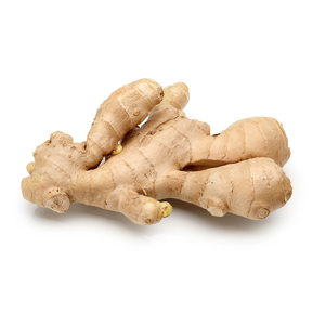 Ginger