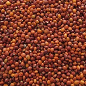 Red Gram