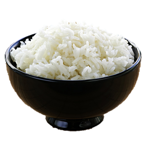 Paddy