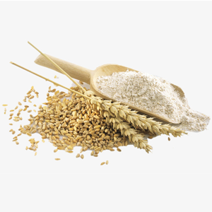 Wheat